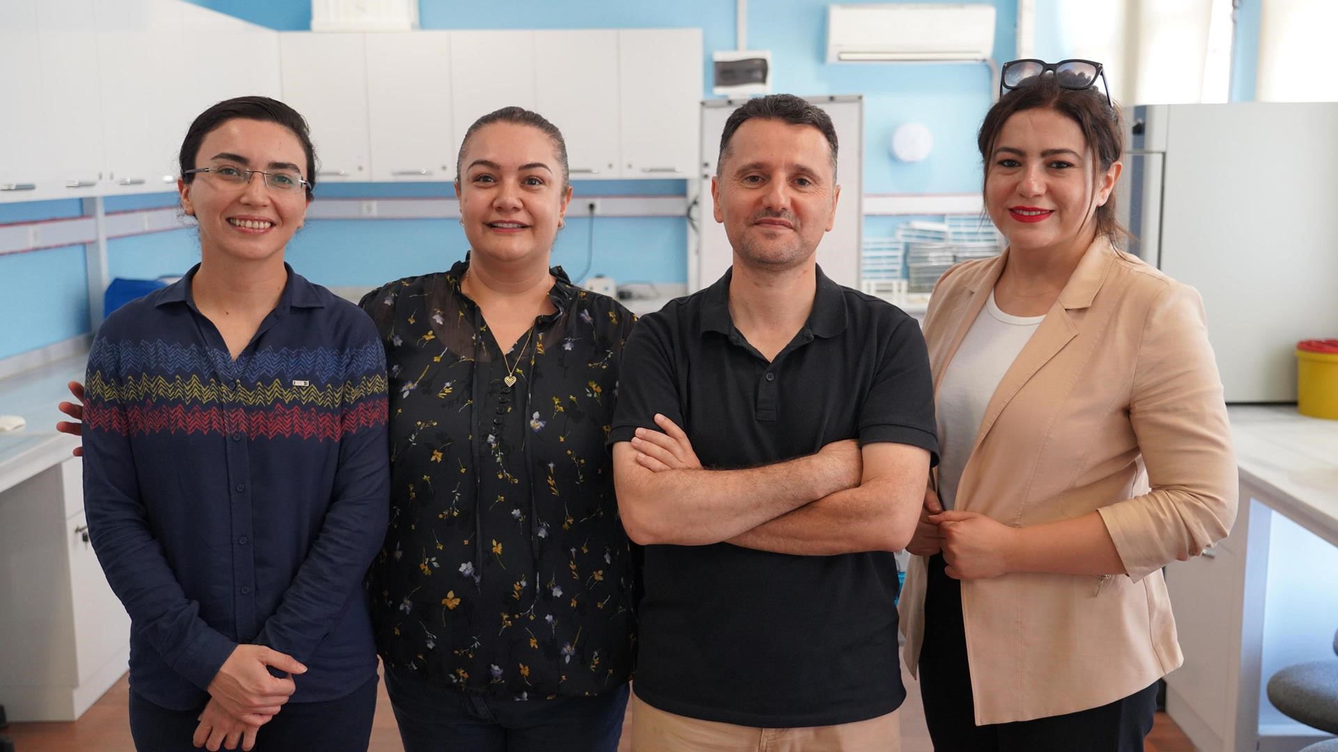 Zeytin Yaprağı, Böbrek Hasarını Önler Mi (2)