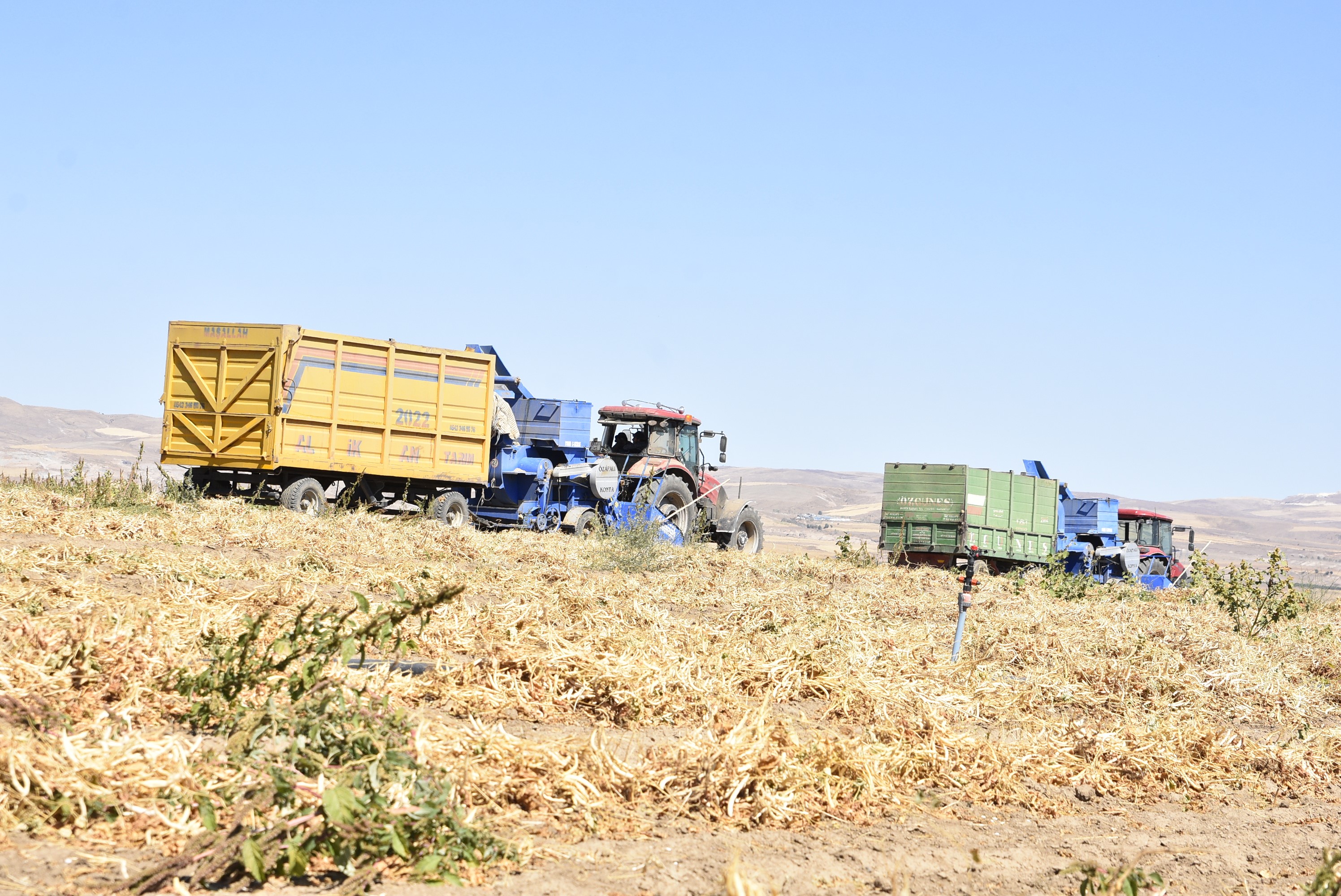 Ahlat Kuru Fasulye (1)