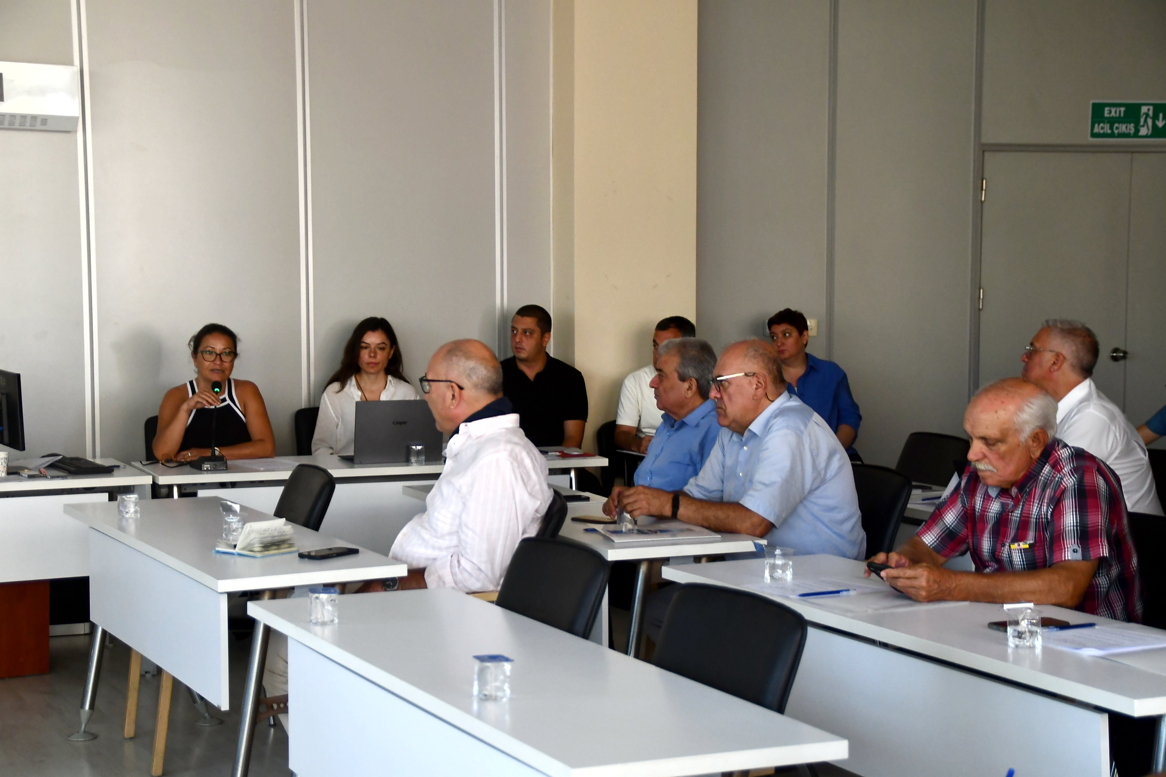 Antik Kent Priene (2)