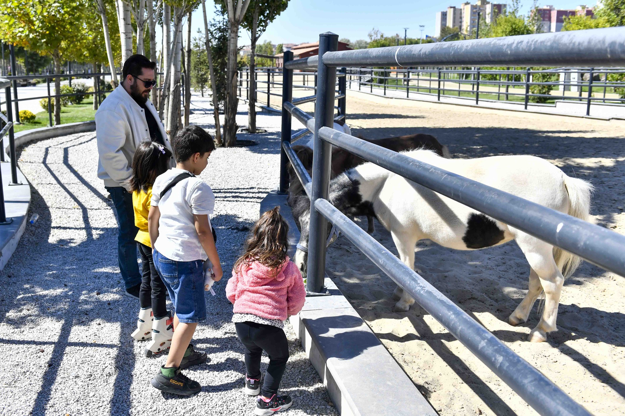 Atatürk Çocukları Doğal Yaşam Parkı Başkent (4)