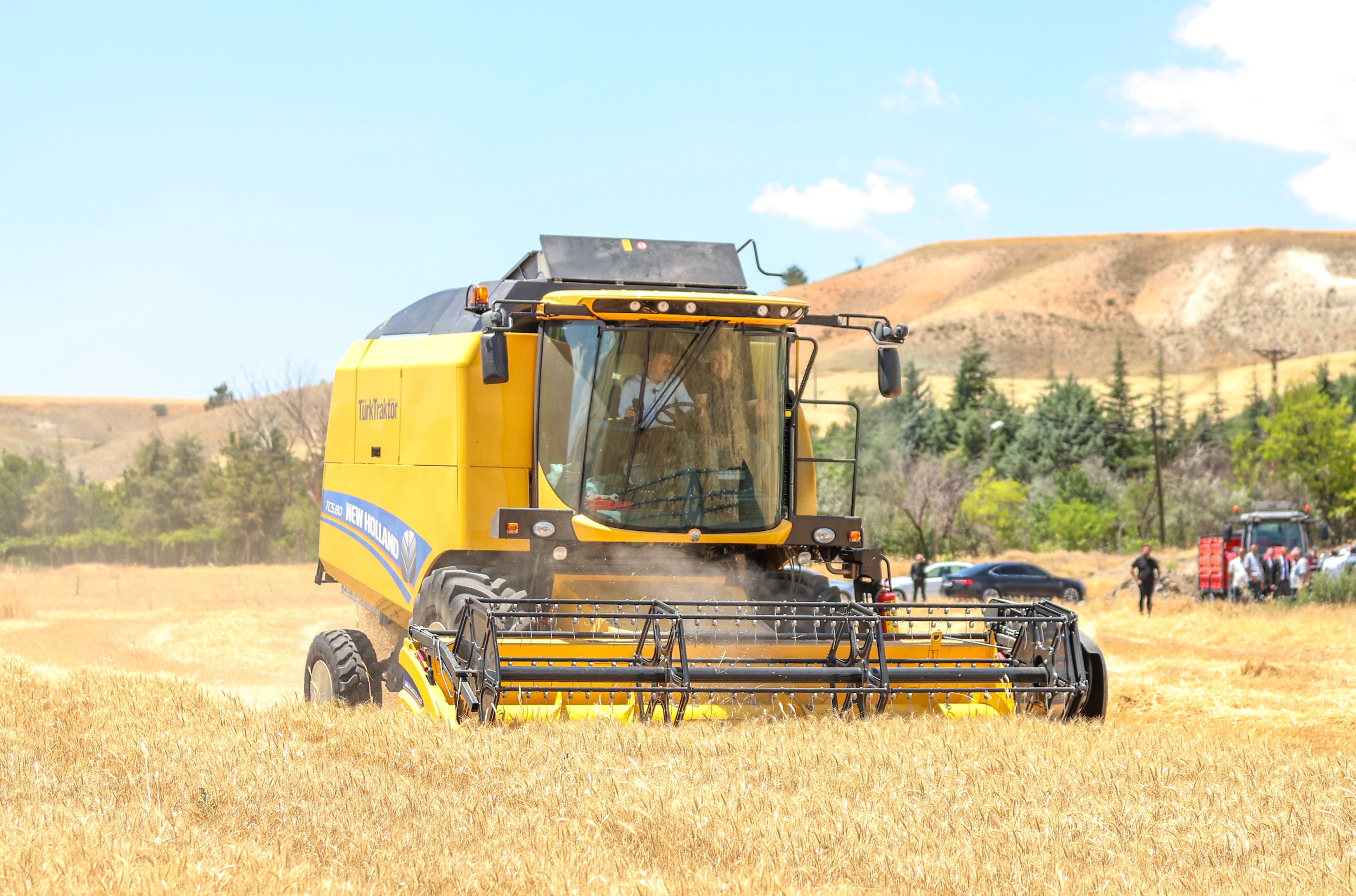 Buğday Tohum Desteği