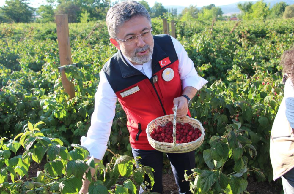 Ekran Resmi 2025 09 11 15.22.52