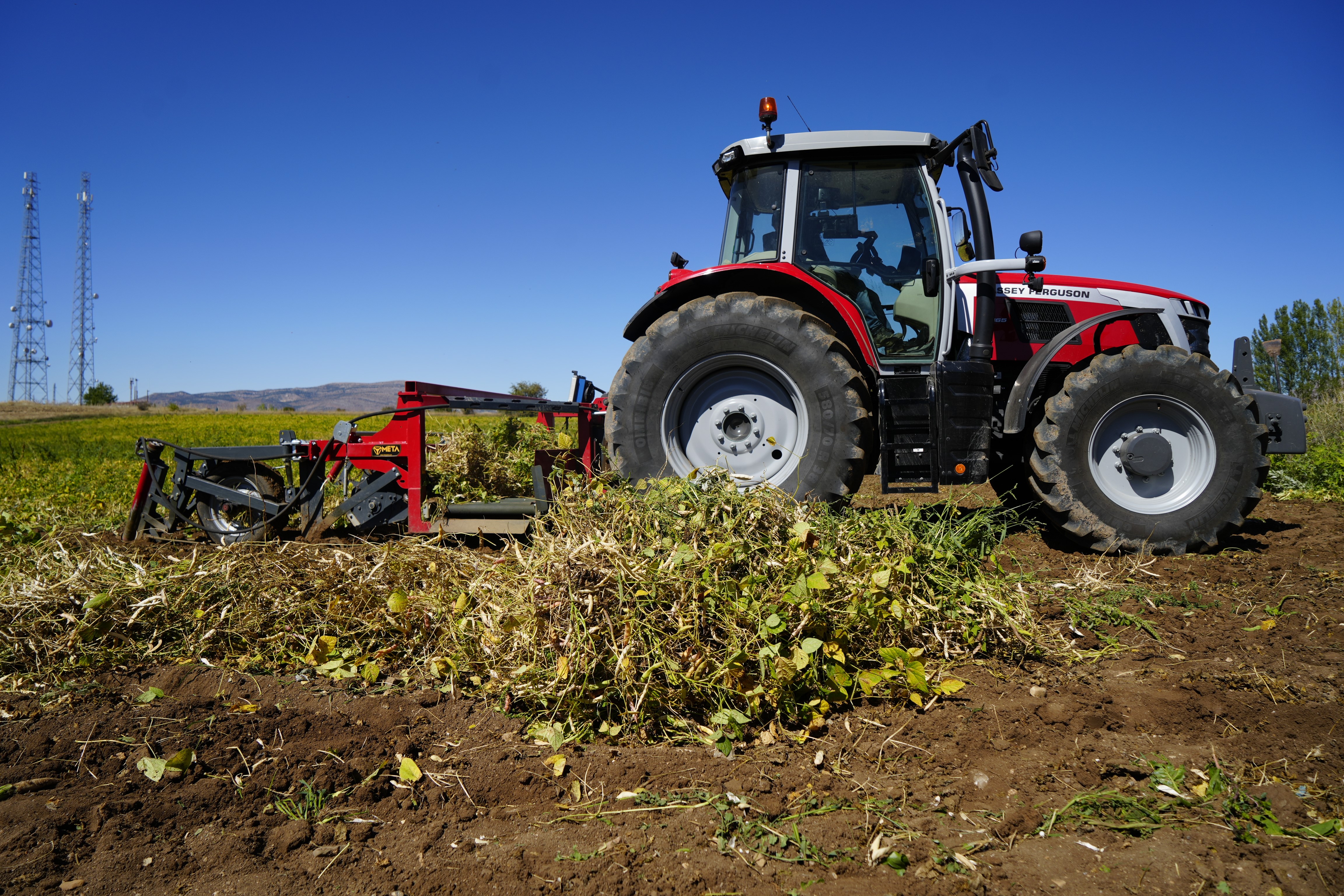 Kelki̇t Fasulye (2)