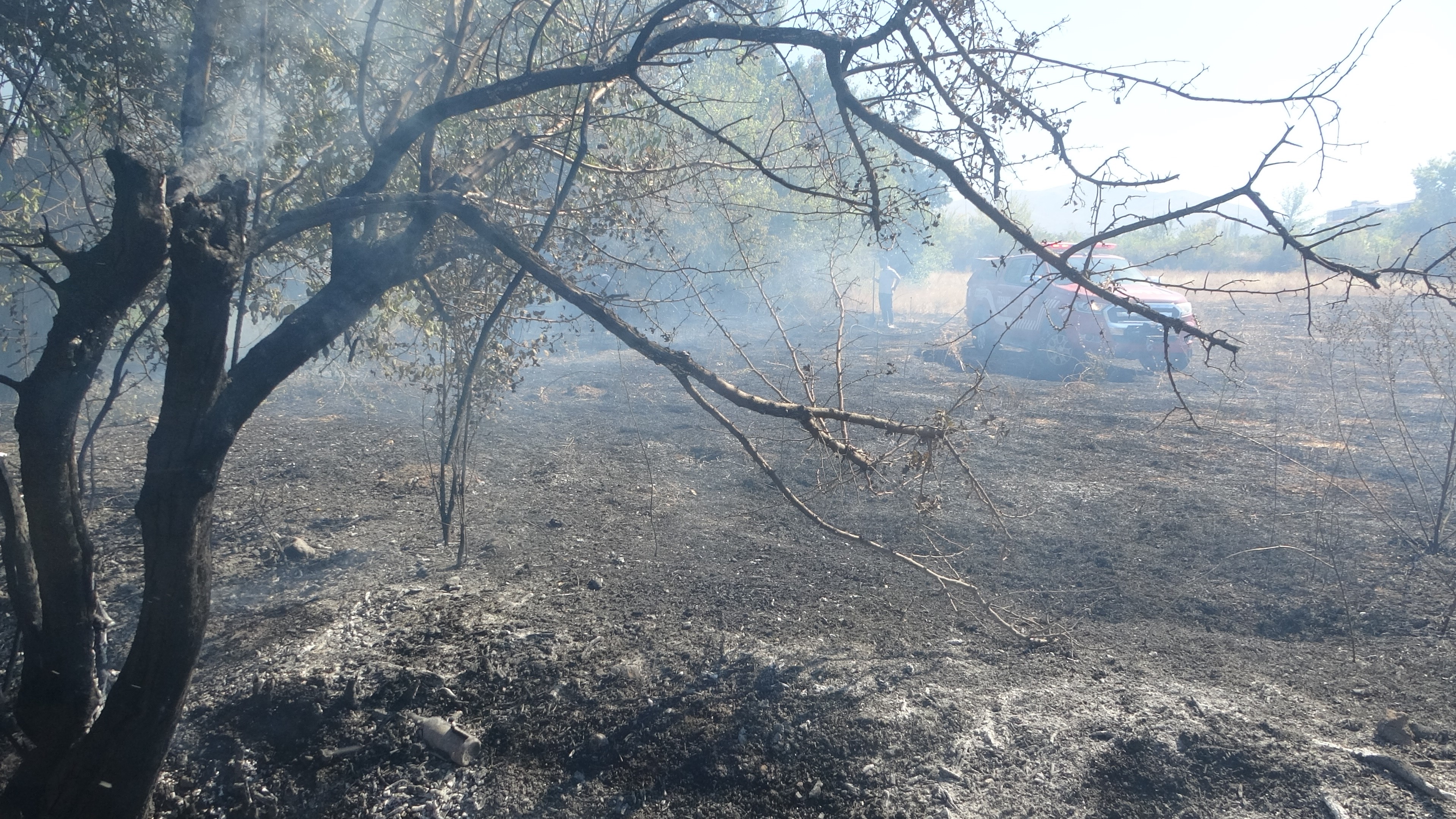 Malatyada Meyve Bahçesi Yandı (1)