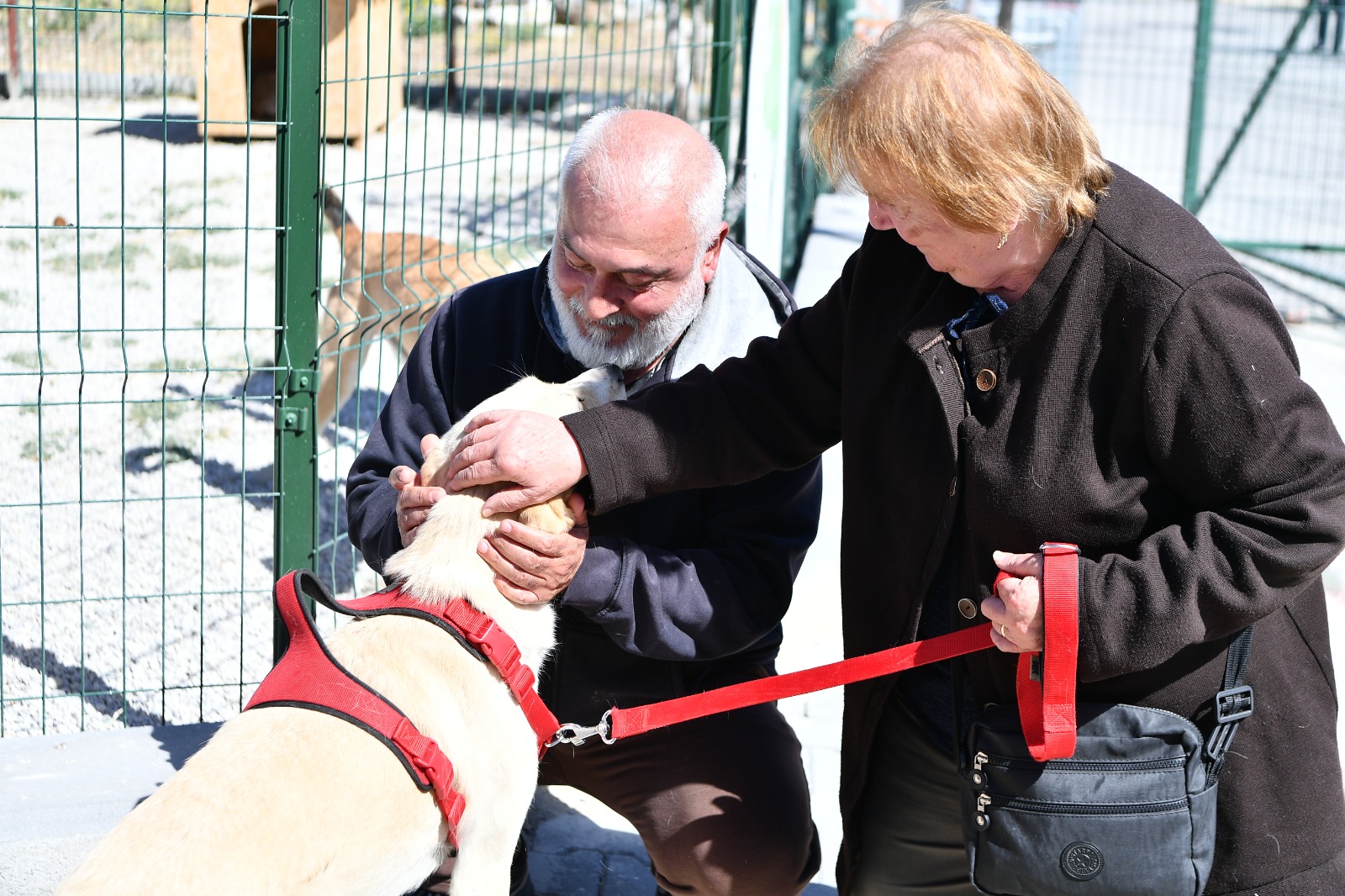 Mamak Belediyesinden Hayvan Dostu Düzenleme (11)