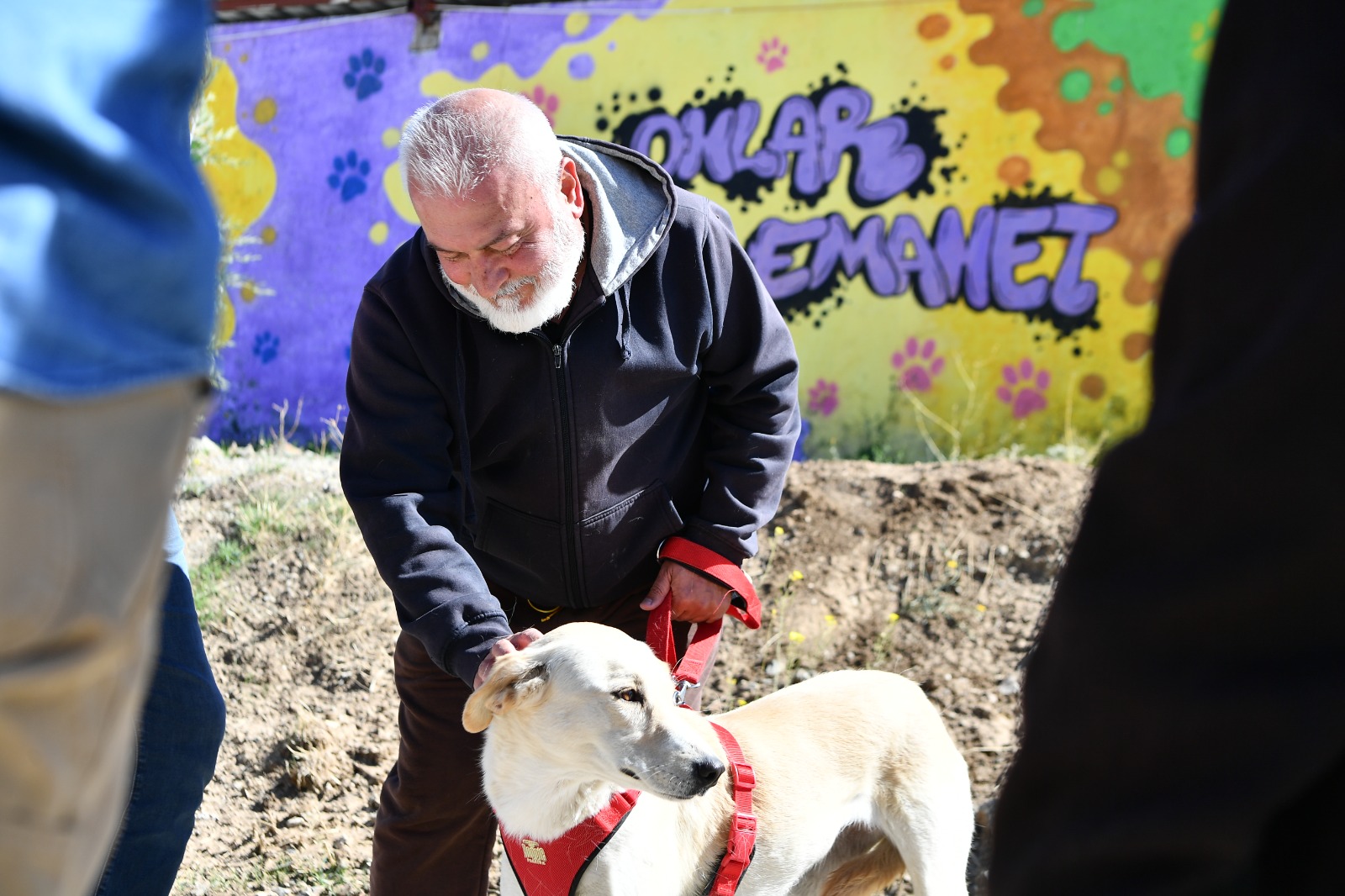 Mamak Belediyesinden Hayvan Dostu Düzenleme (9)