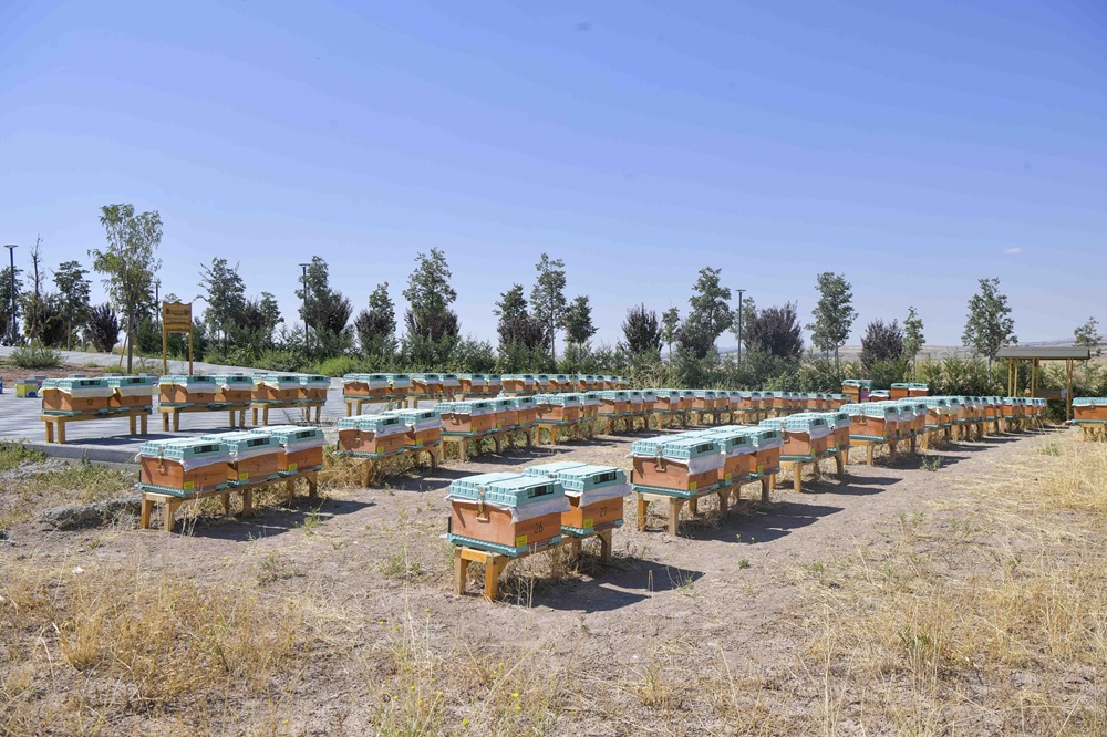 Arıcılık Araştırma, Üretim Ve Eğitim Merkezi (2)