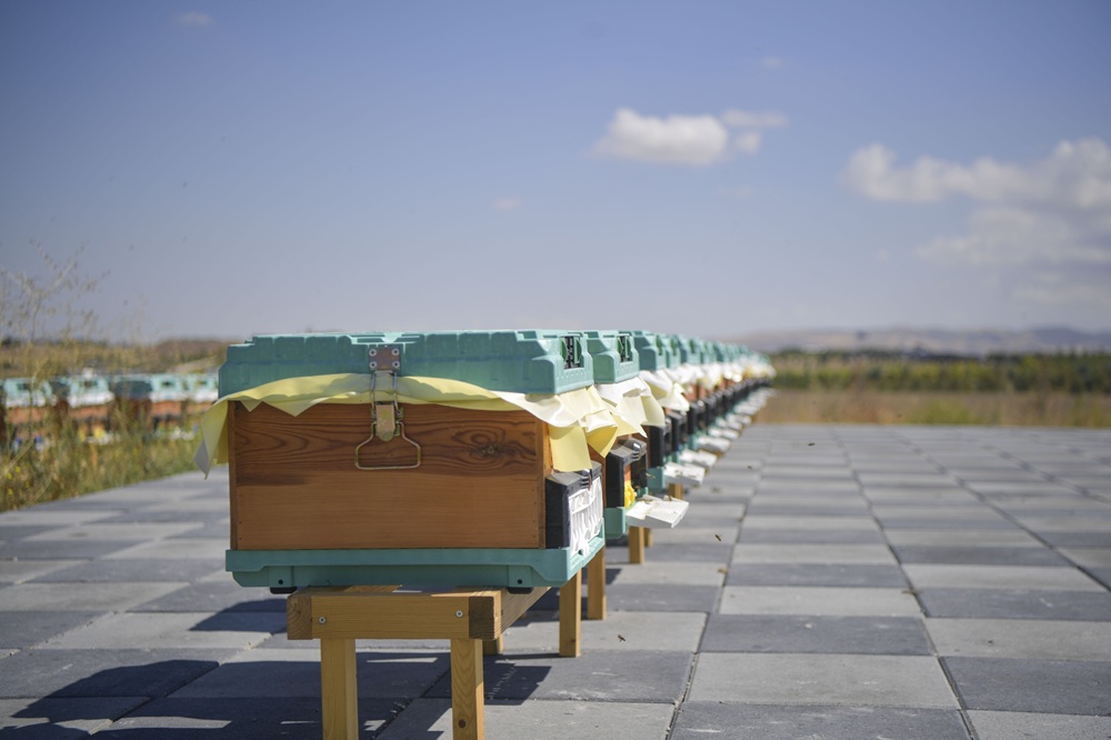 Arıcılık Araştırma, Üretim Ve Eğitim Merkezi (3)