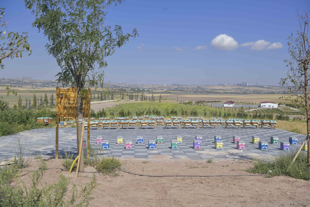 Arıcılık Araştırma, Üretim Ve Eğitim Merkezi (5)