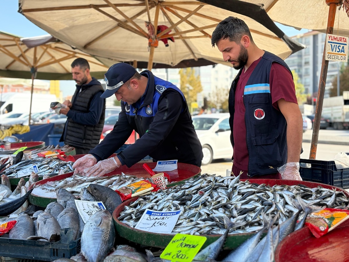 Balık Denetimi (2)-1