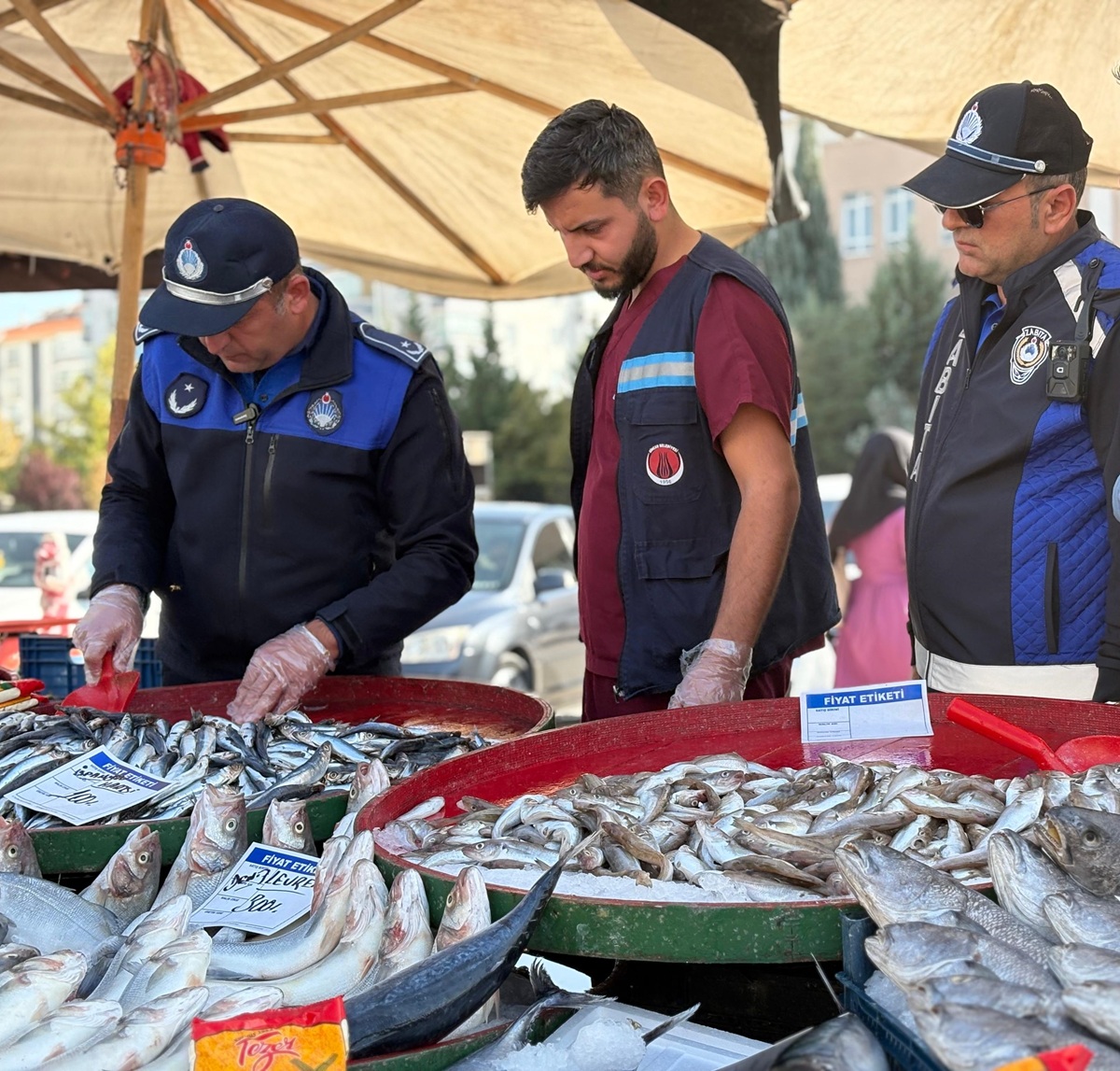 Balık Denetimi (3)-1