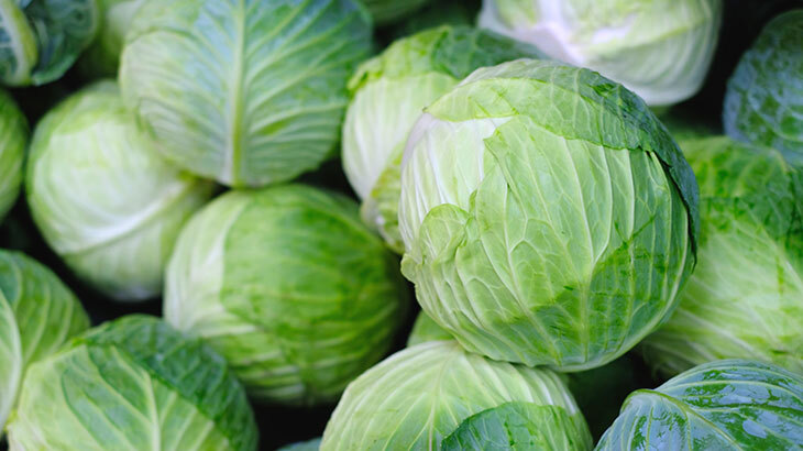 Beyaz Lahana Faydaları