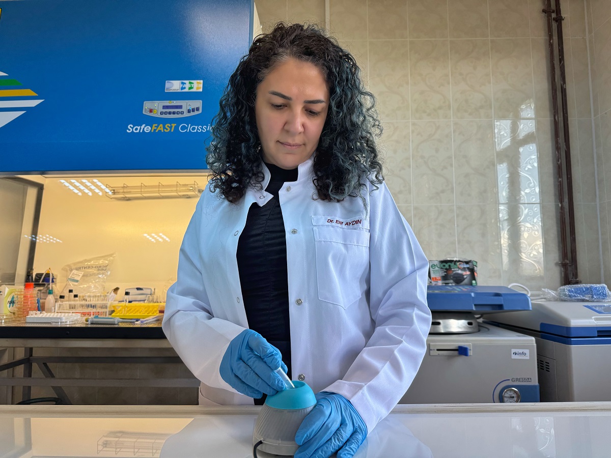 Bor,Diyabet Yaralarına Çözüm Mü (1)