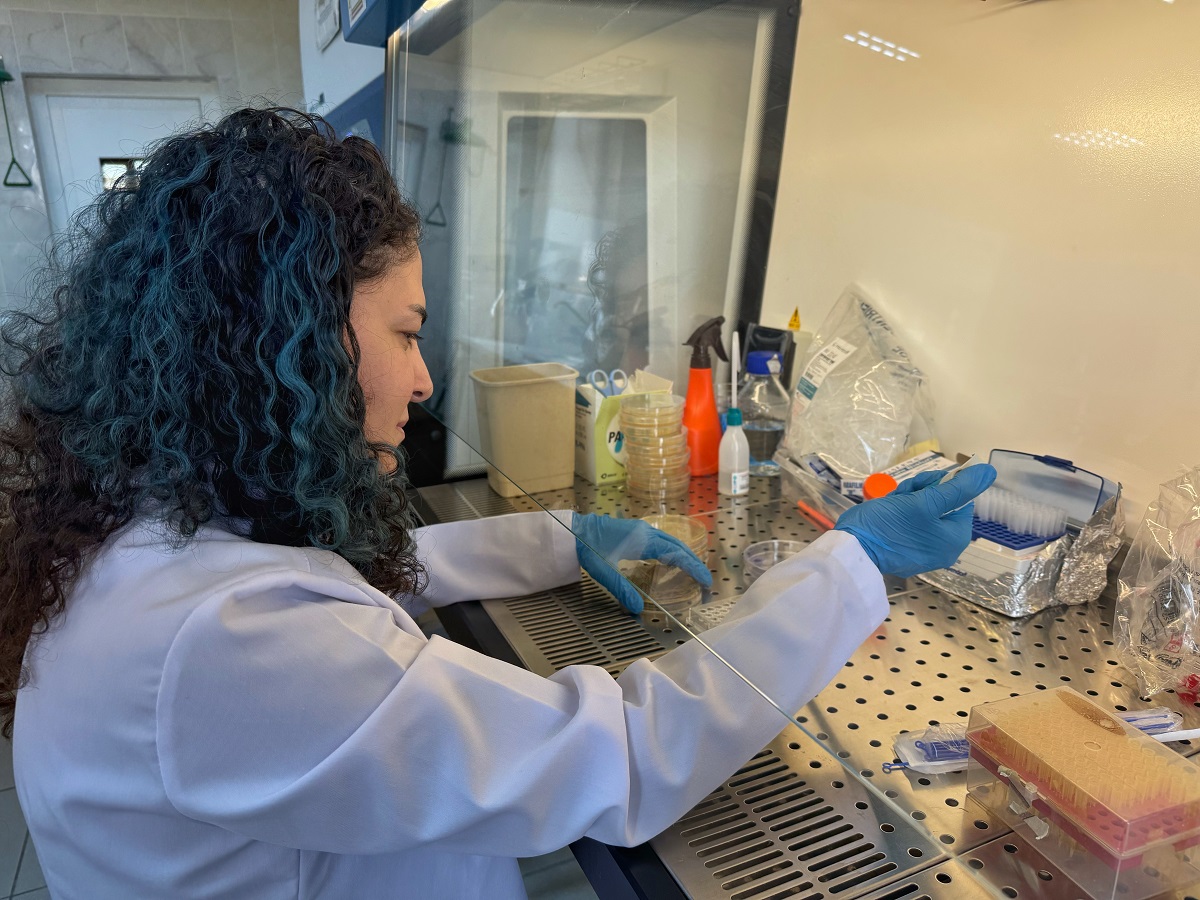 Bor,Diyabet Yaralarına Çözüm Mü (3)