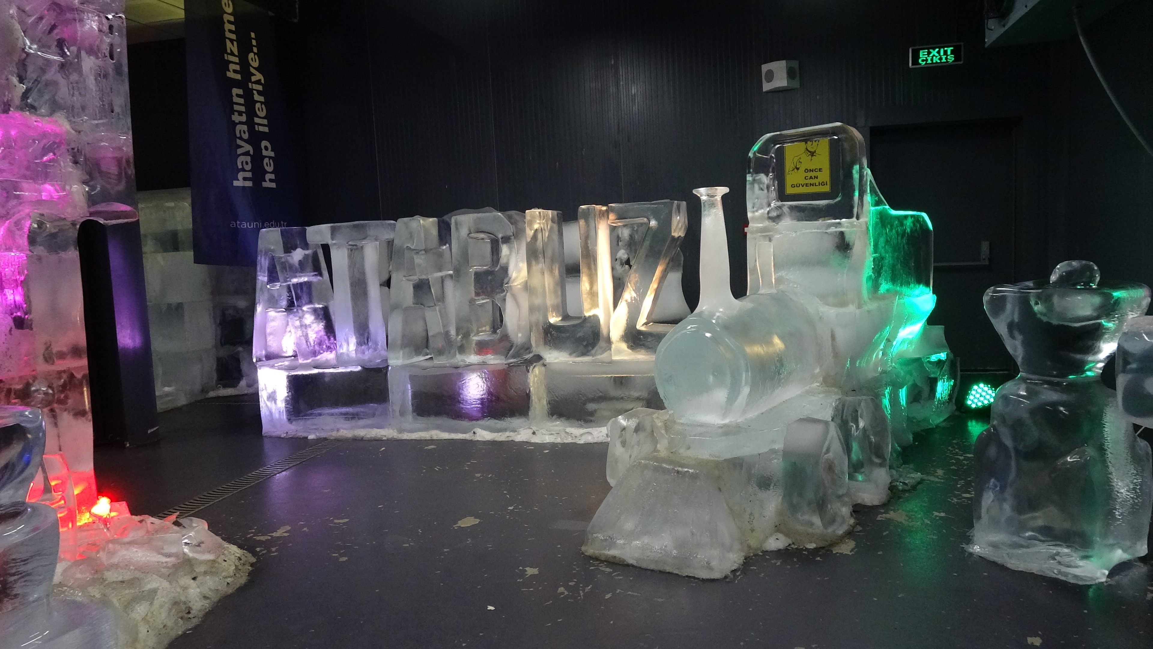 Erzurum Buz Müzesi (3)