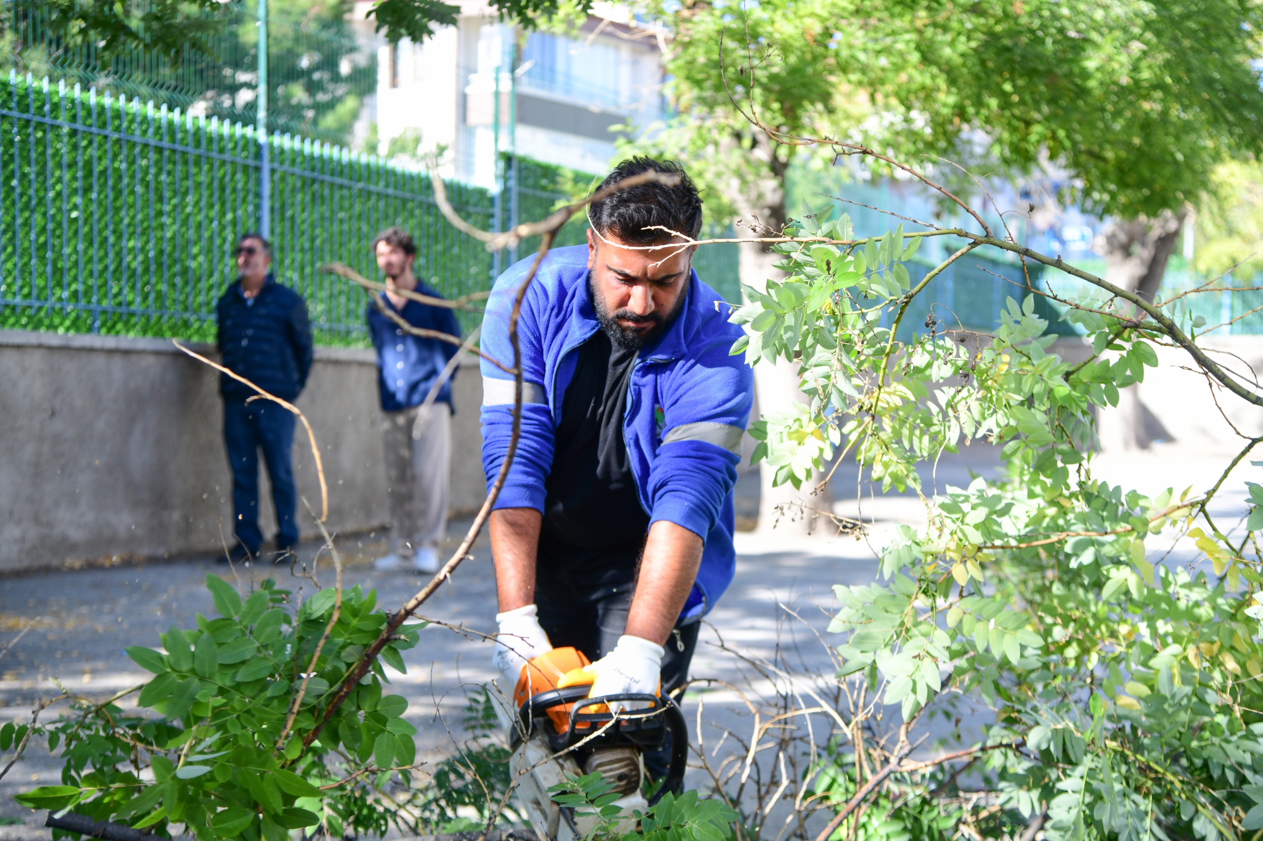 Mamak’ta Ağaç Budama Çalışmaları (3)