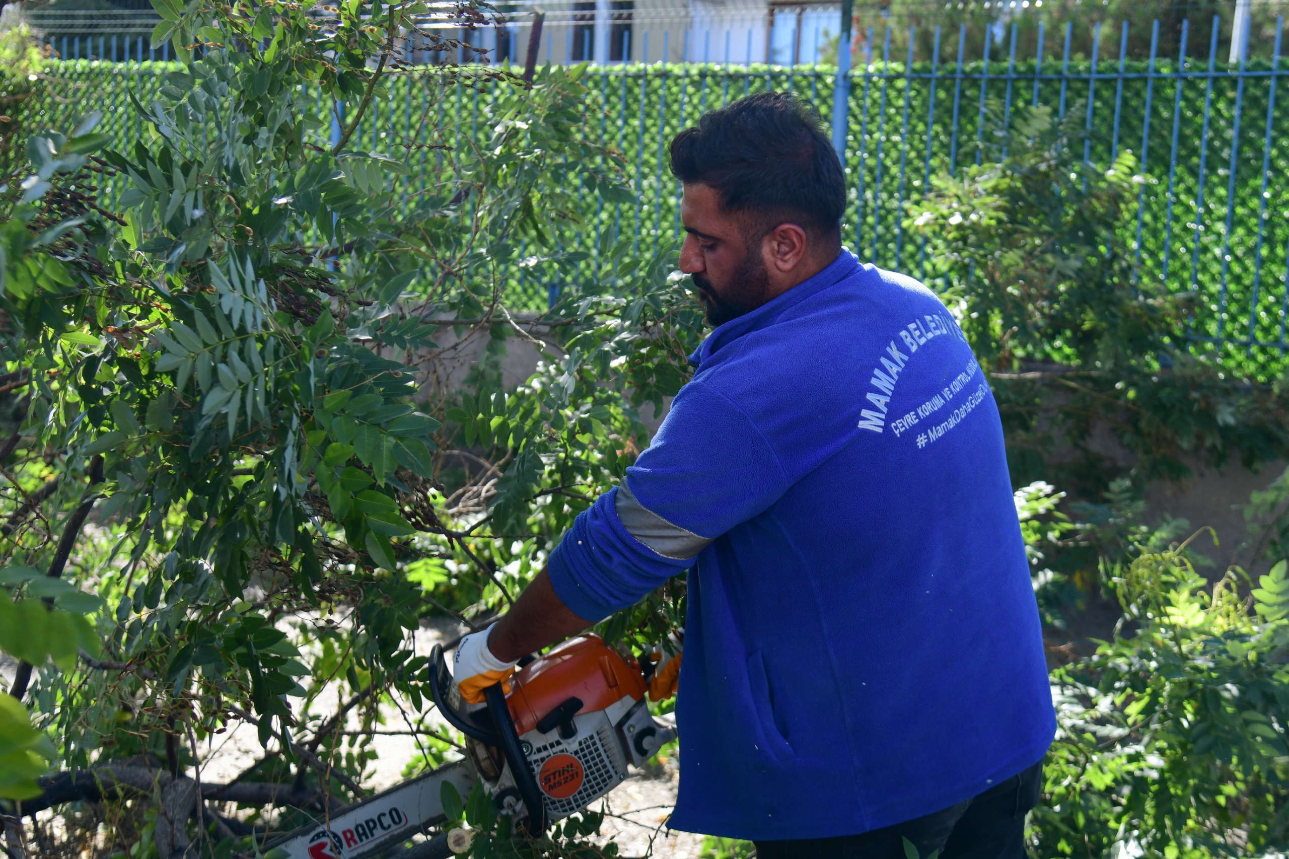 Mamak’ta Ağaç Budama Çalışmaları (4)