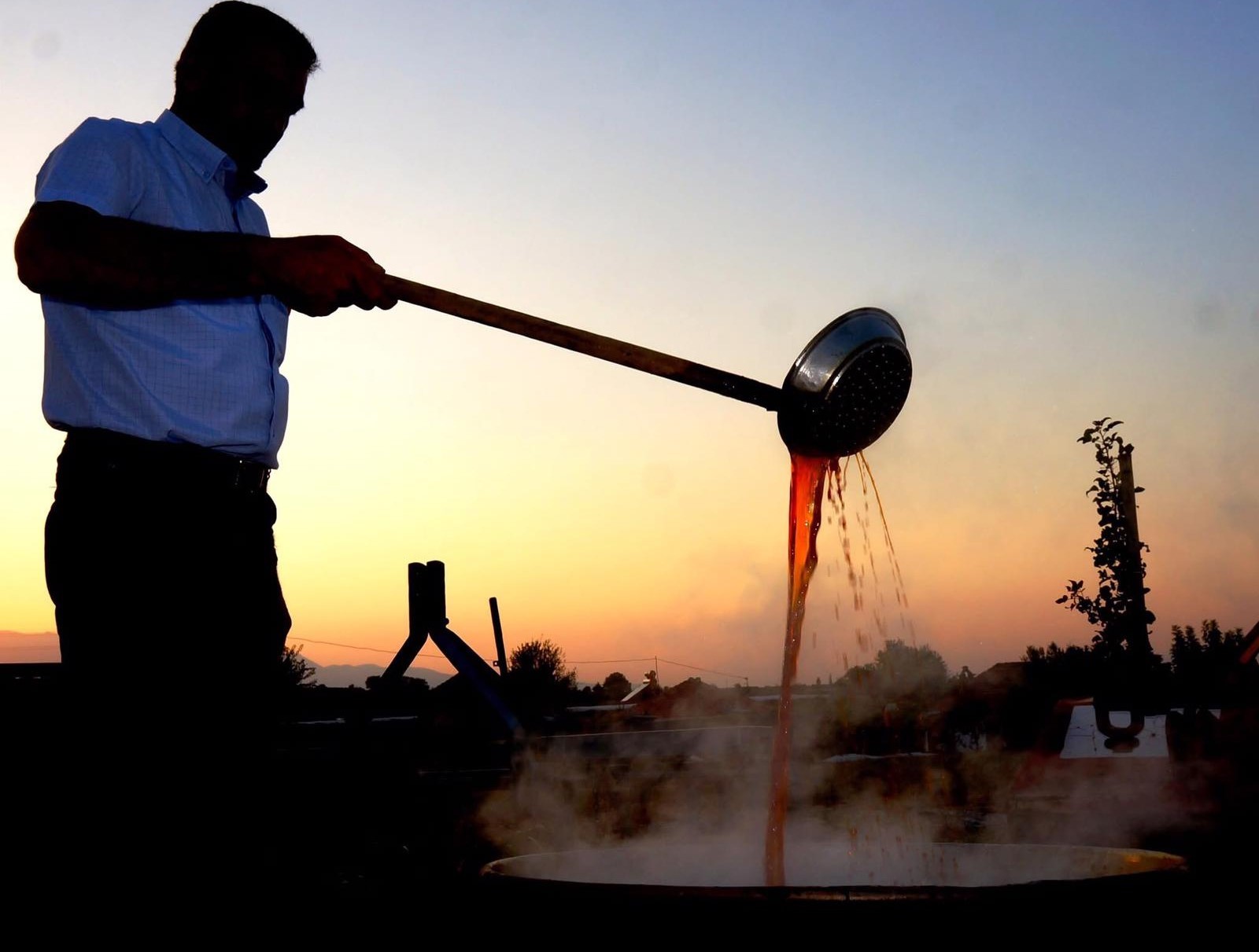 Pekmez Köpüğü (1)