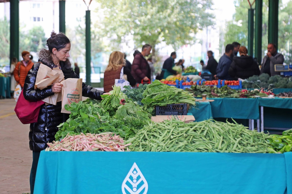 Zabıta Ayrancı Organik Pazar (13)