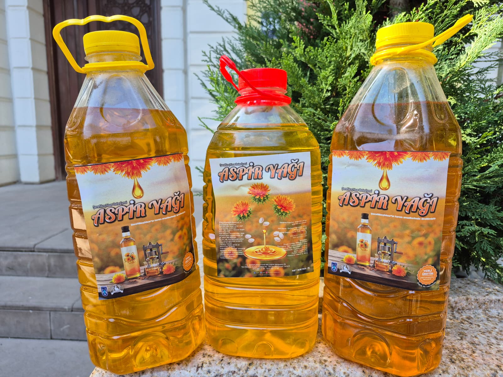 Aspir Yağı (1)-1