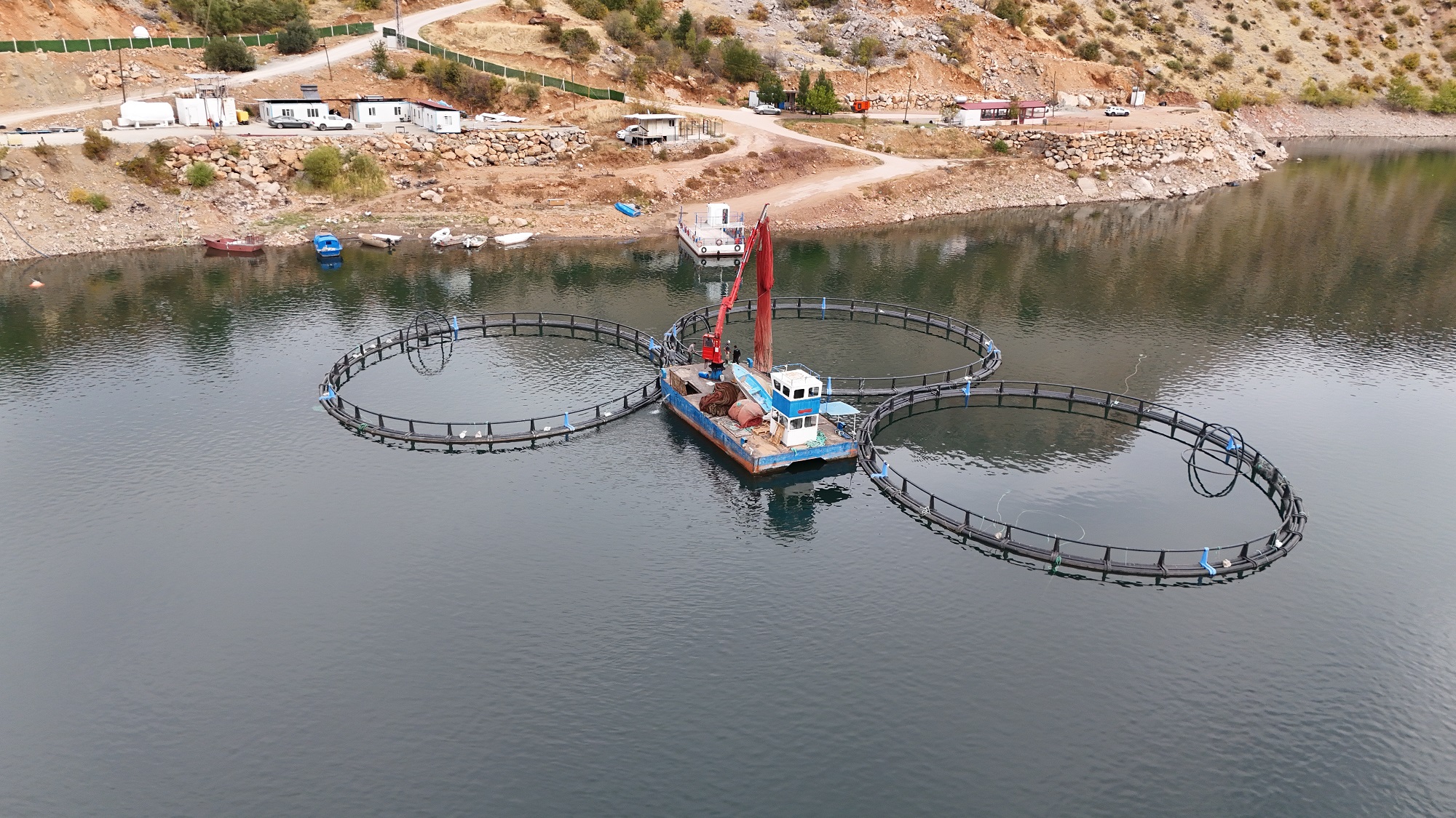 Diyarbakır Somon2 (2)