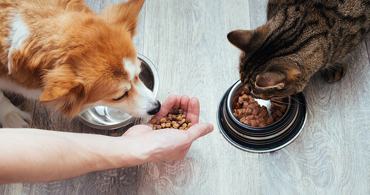 Ekran Resmi 2025 11 03 10.42.41