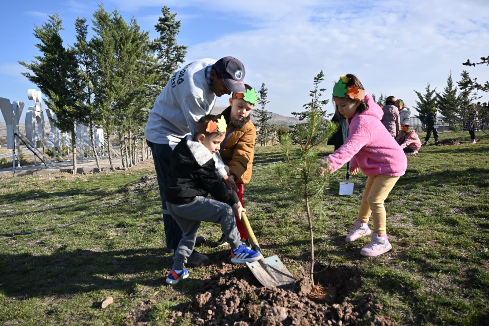 Fi̇danlar Ağaca, Ağaçlar Ormana (1)