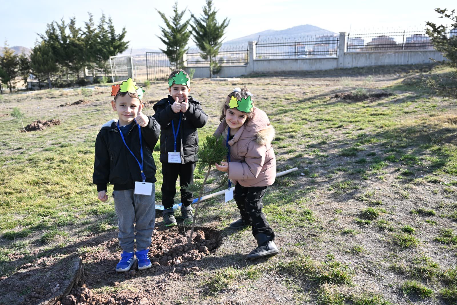 Fi̇danlar Ağaca, Ağaçlar Ormana (2)