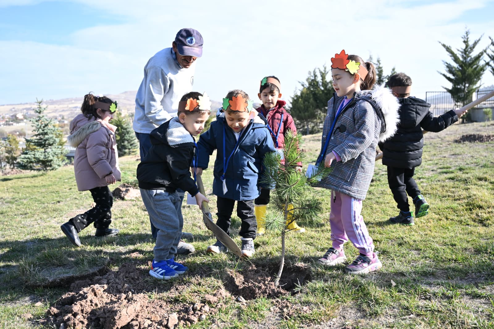 Fi̇danlar Ağaca, Ağaçlar Ormana (6)