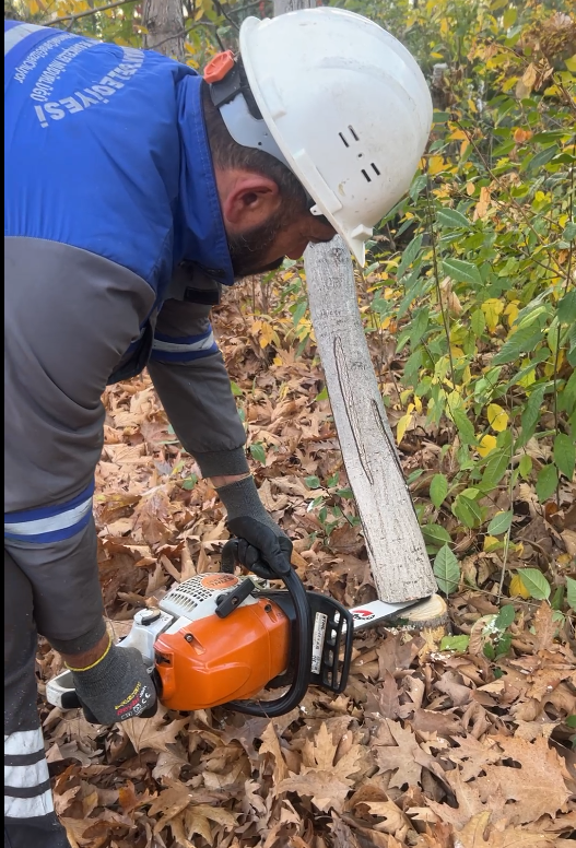Mamak’ta Sonbahar Budama Çalışmaları Sürüyor (2)-1