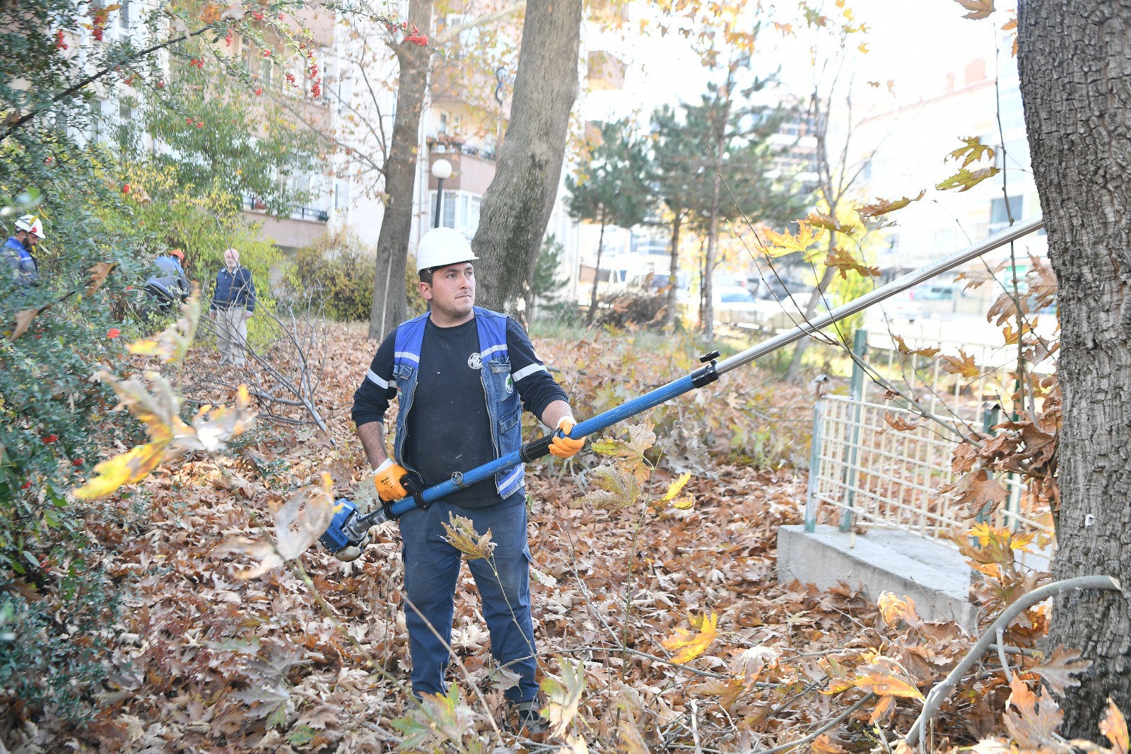 Mamak’ta Sonbahar Budama Çalışmaları Sürüyor (2)