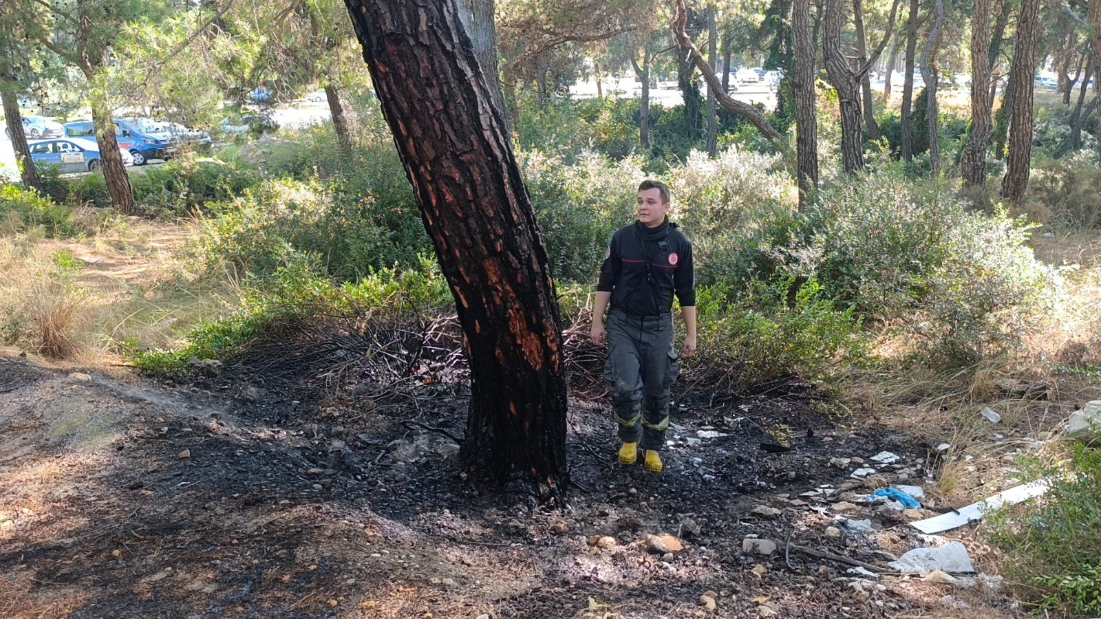 Orman Yangını (4)-2