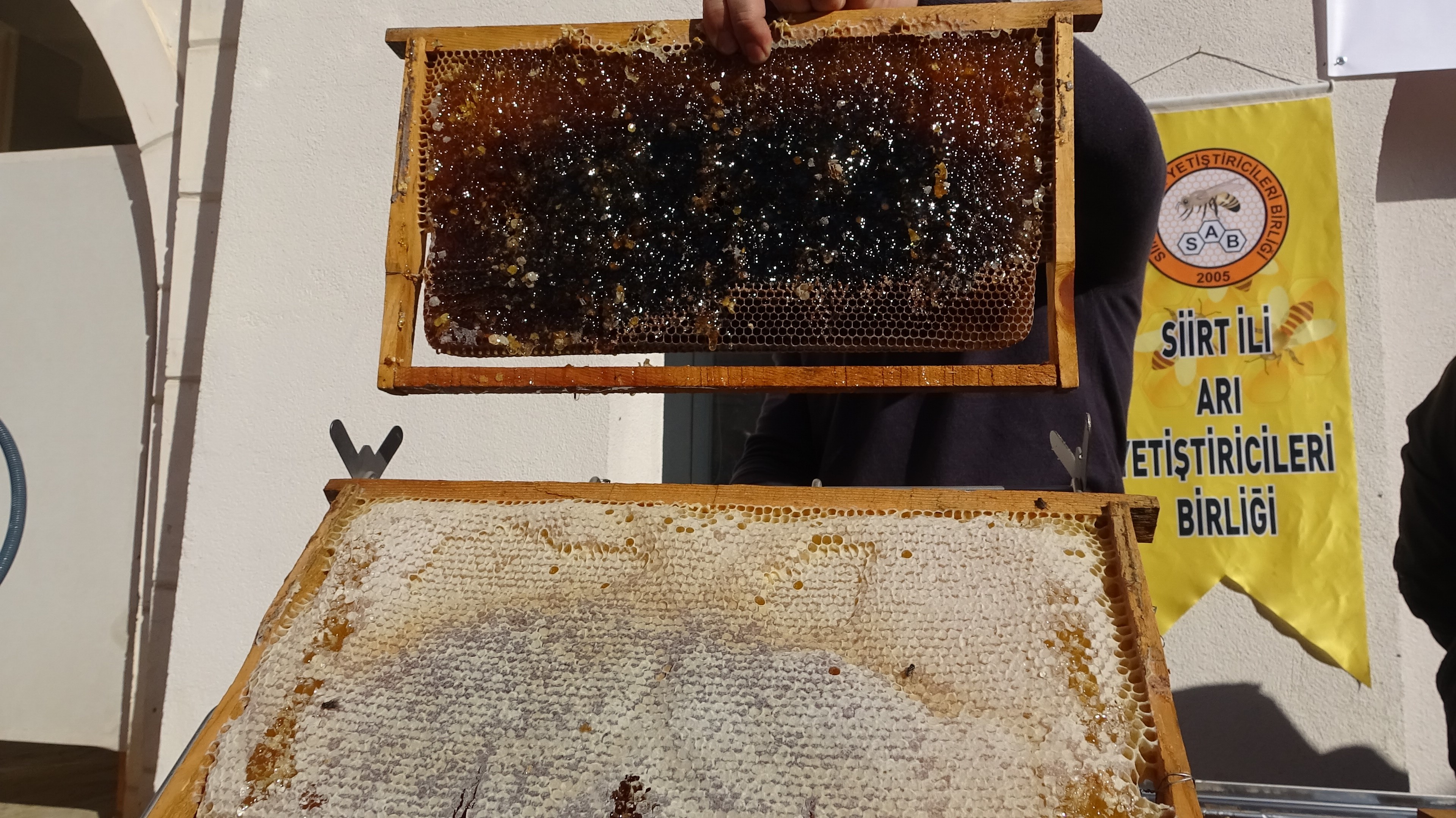 Siirt Arıcılık (1)