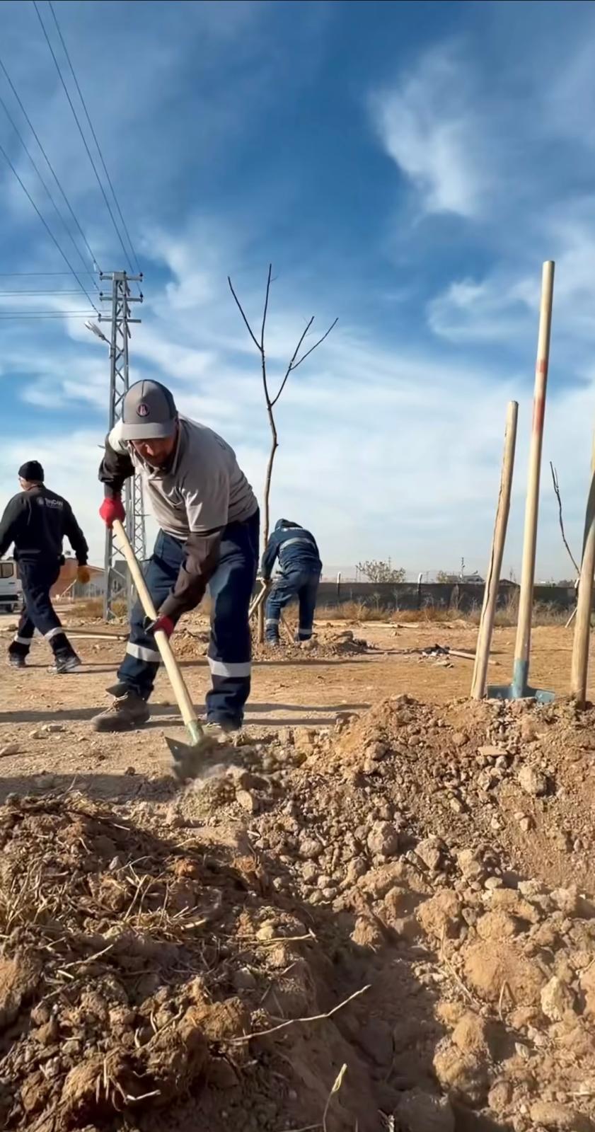 Sincan’da Öğrenciler Fidan Dik (1)