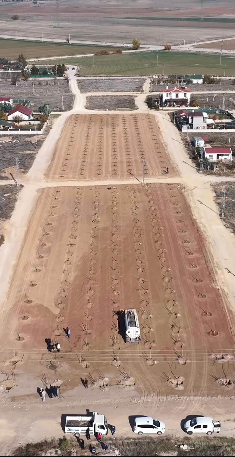 Sincan’da Öğrenciler Fidan Dik (3)