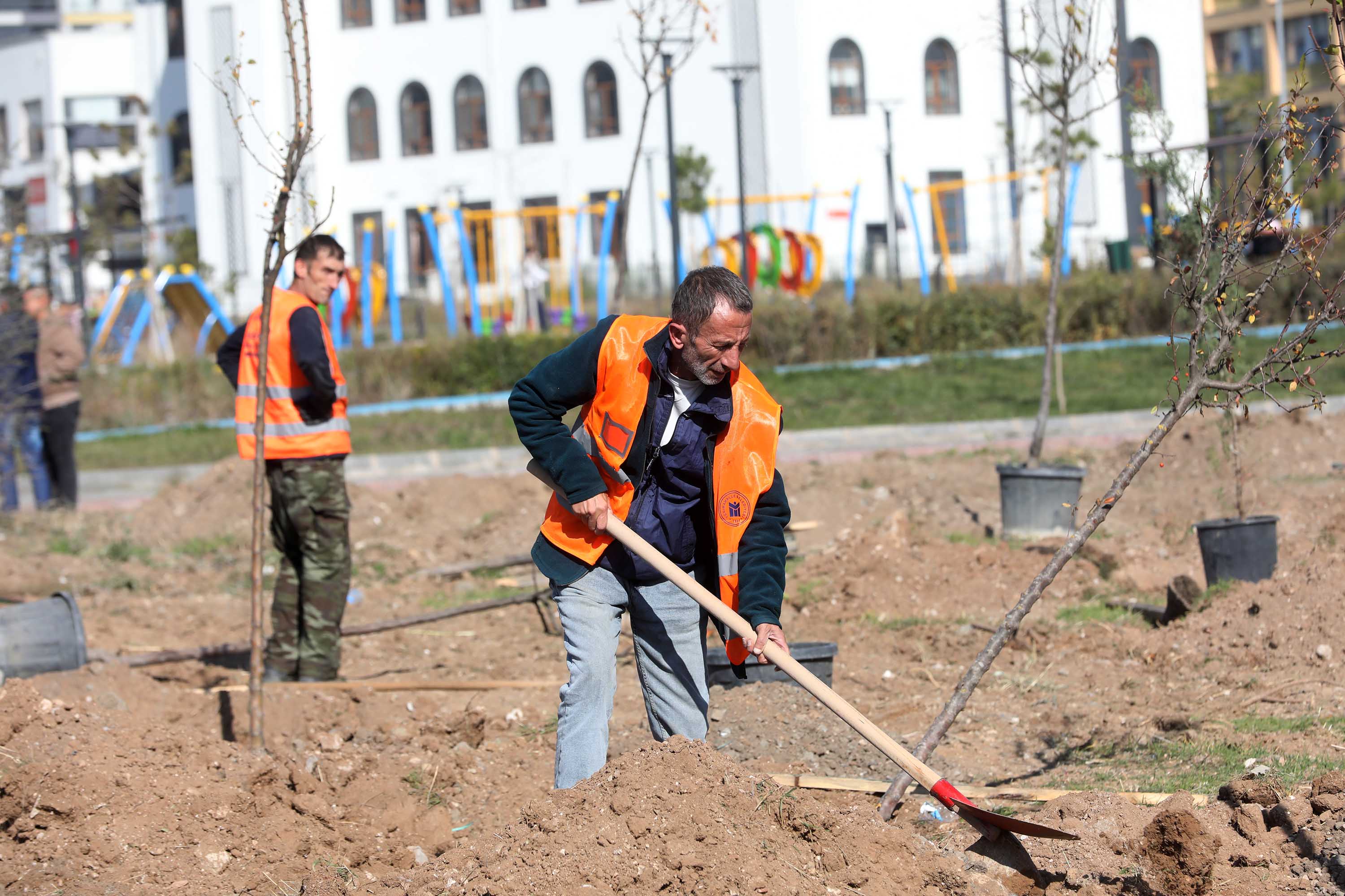 Yenimahalle’de Ağaçlar Toprakla Buluştu (3)