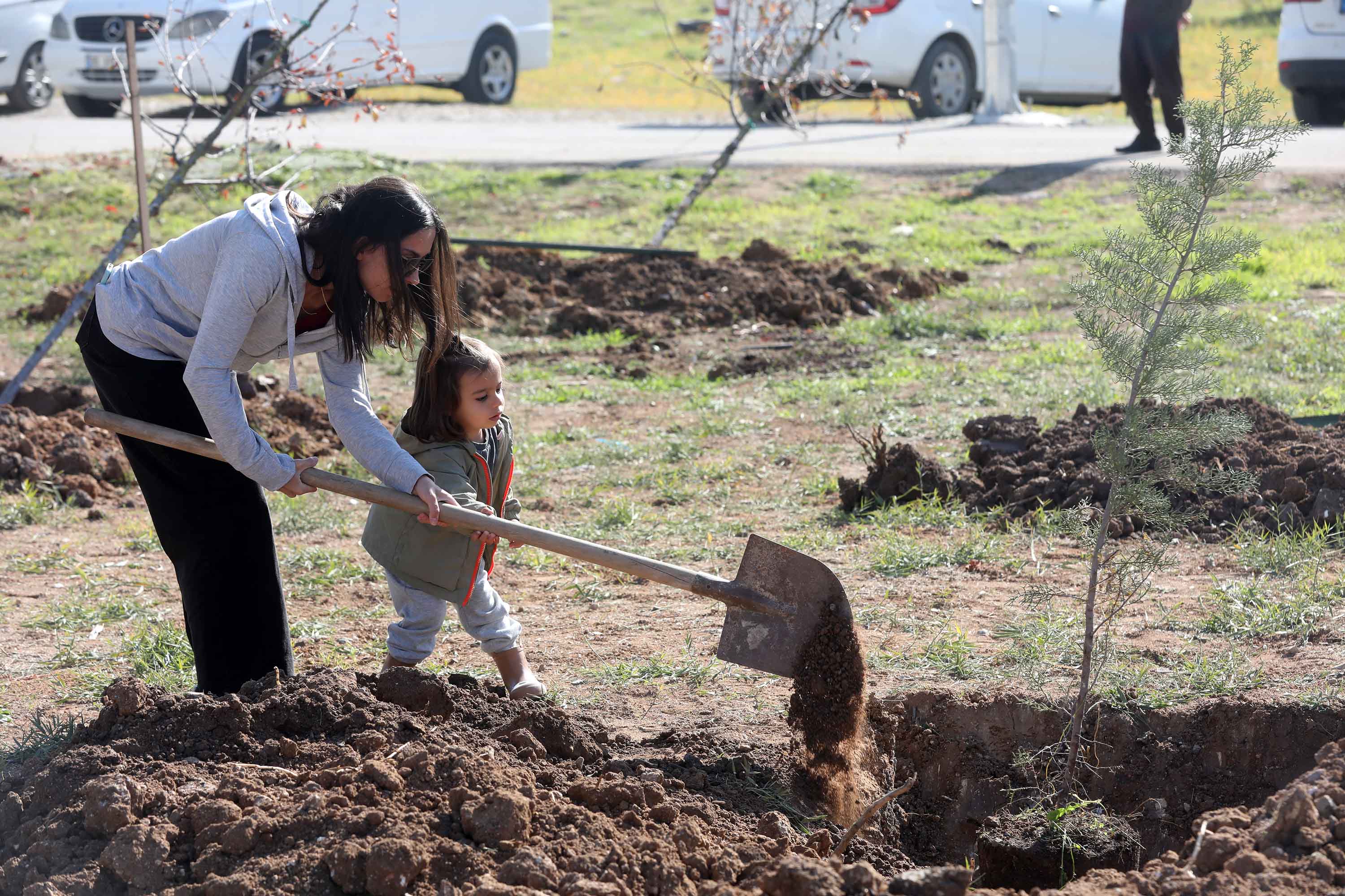 Yenimahalle’de Ağaçlar Toprakla Buluştu (4)