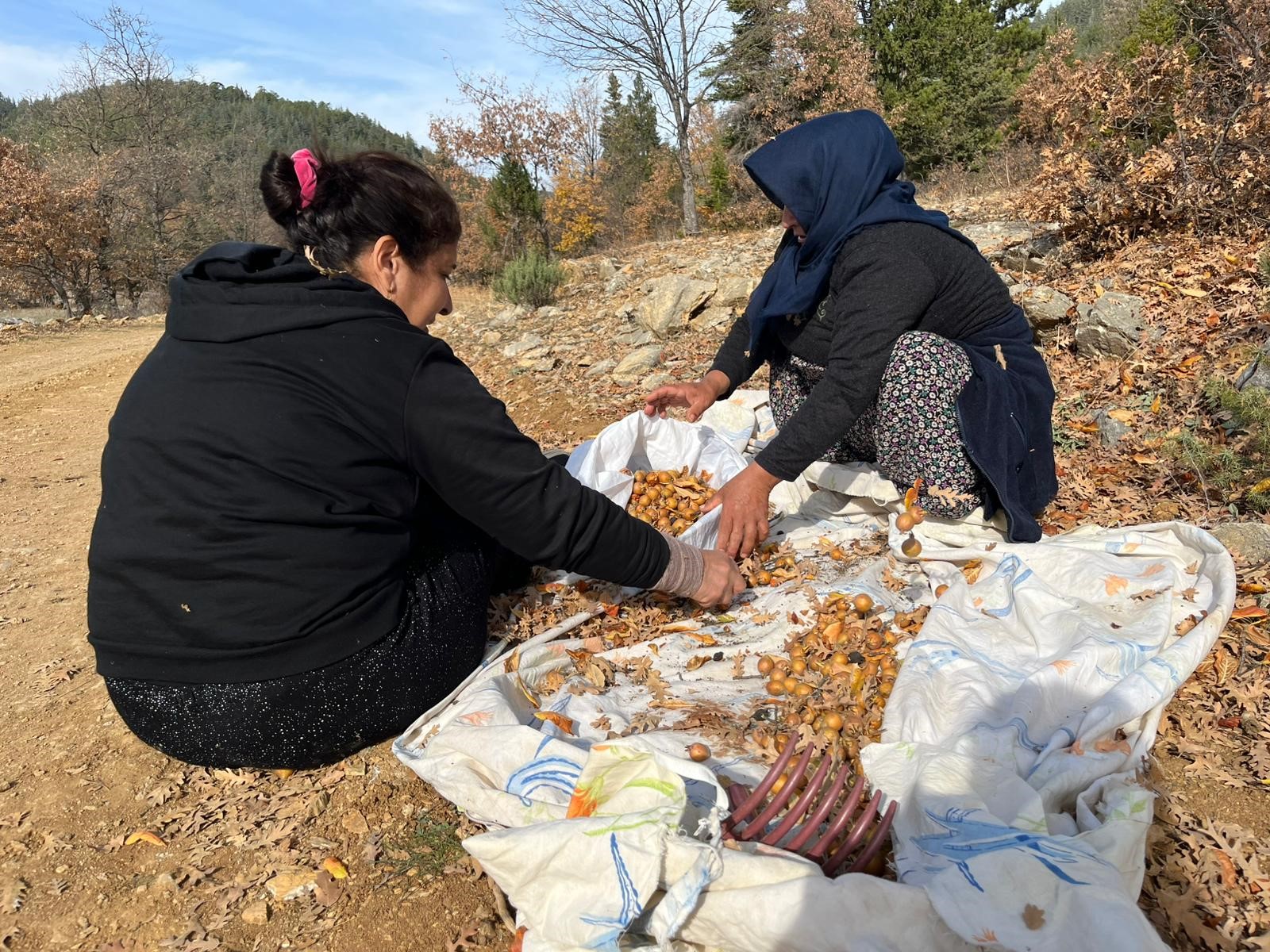 Kimliği meçhul hayırseverin aşıları Toroslarda yaşıyor-2