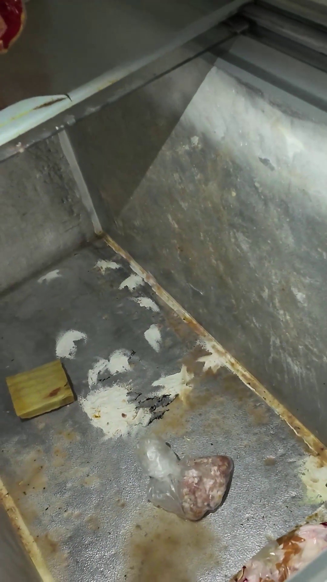 Zabıta denetiminde dönercide şok görüntüler - 3