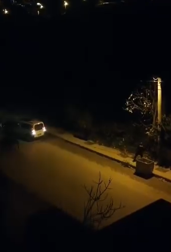 Yalova’da DEAŞ Operasyonu - 4