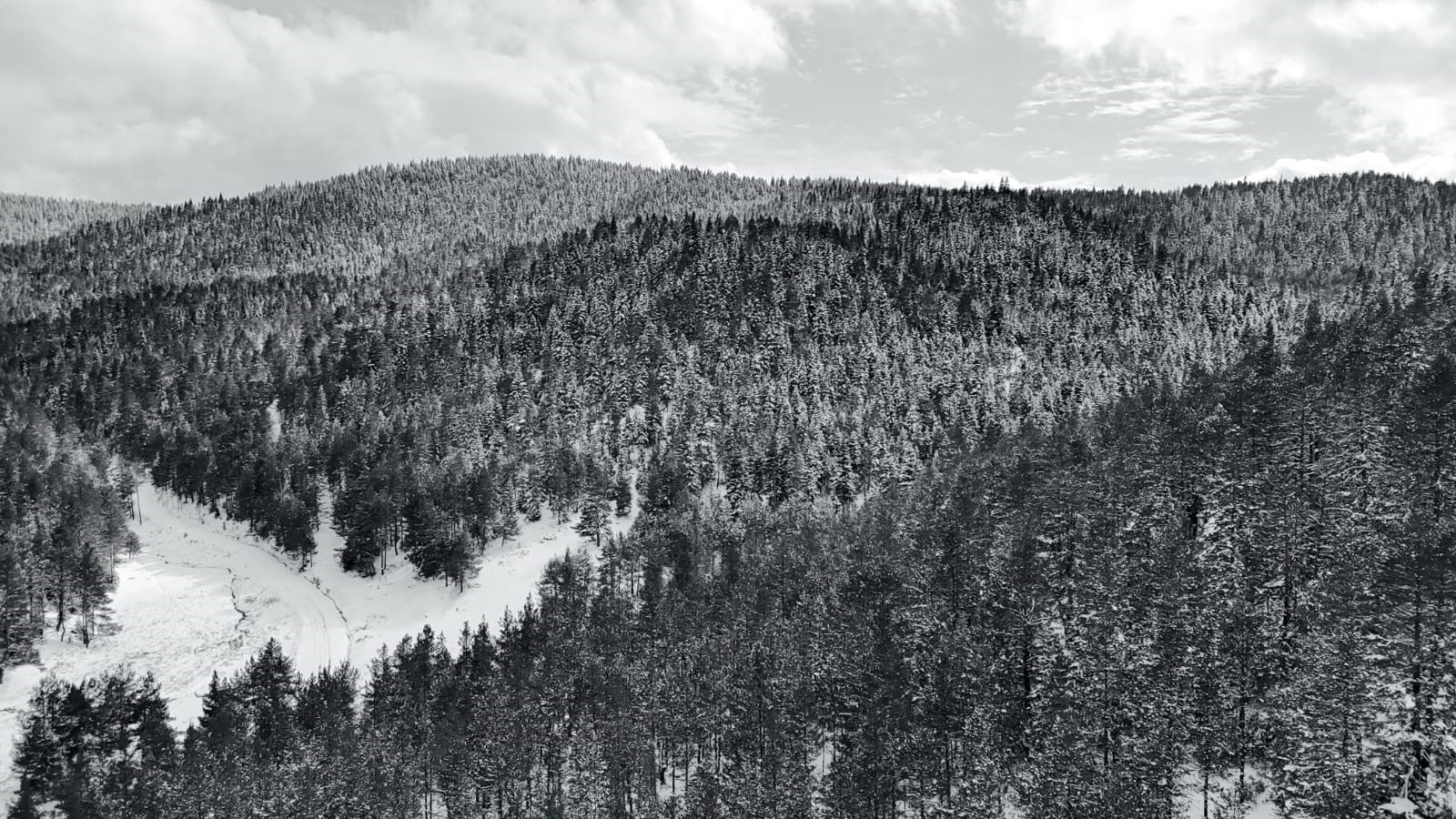 Ankara’nın kuzeyinde kar manzarası