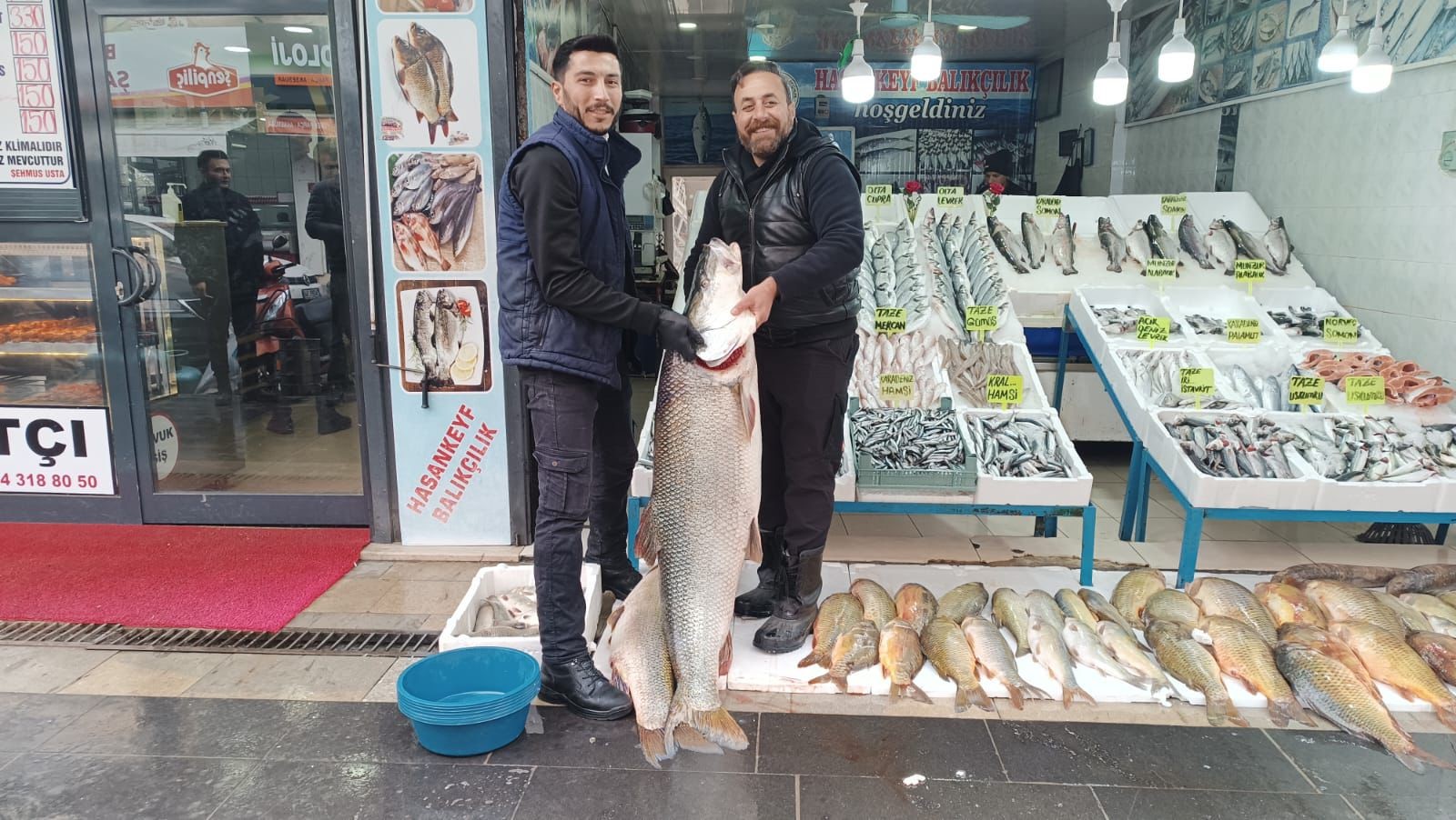 Batman Turna Balığı (1)