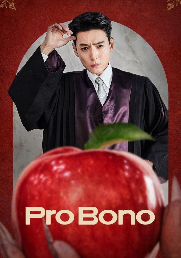 Pro Bono-1