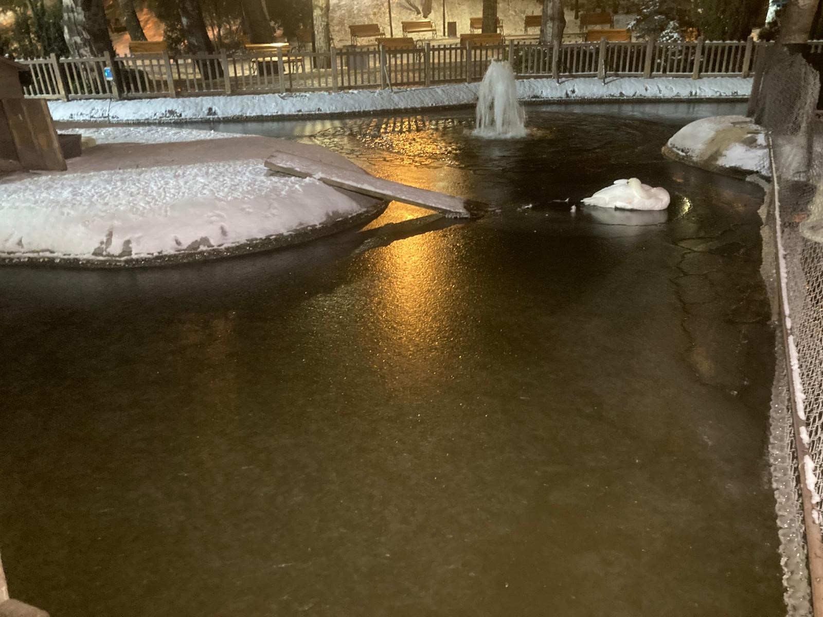 Ankara'da soğuk etkisini artırdı - 4