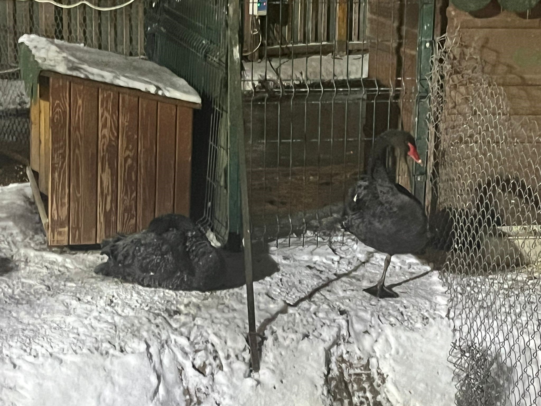 Ankara'da soğuk etkisini artırdı - 3