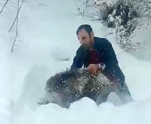 domuzu elleriyle yakalayan adam