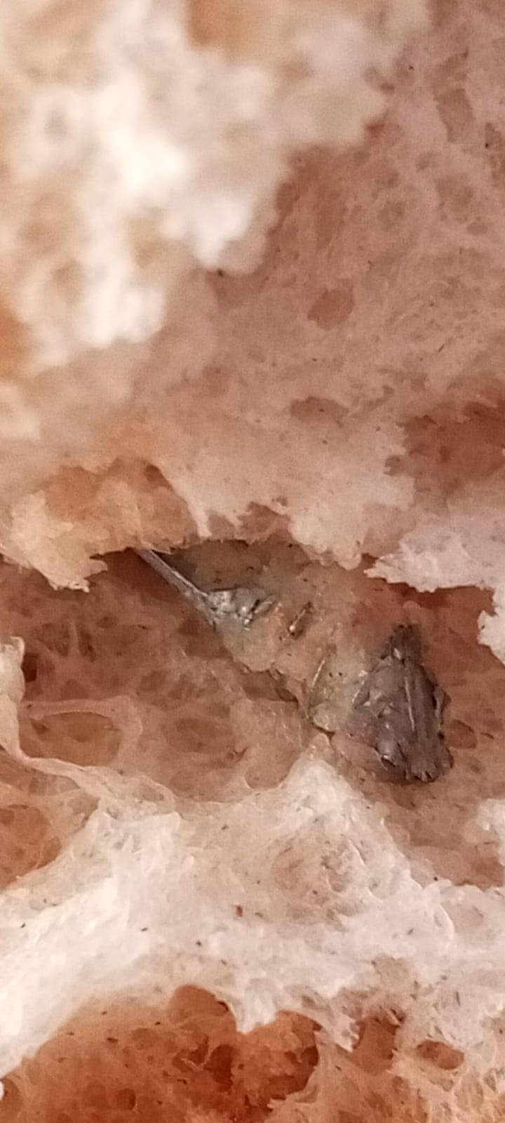 İzmir'de ekmeğin içinden vida çıktı - 4