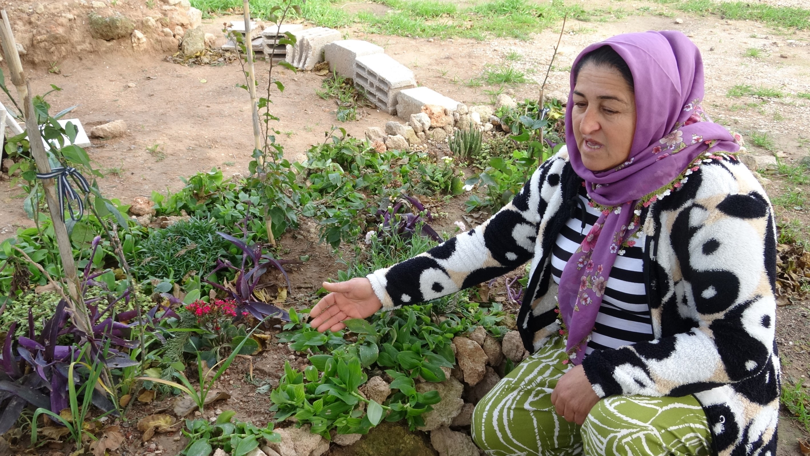 Torbacıların Yeni Adresi Mezarlık Oldu - 4