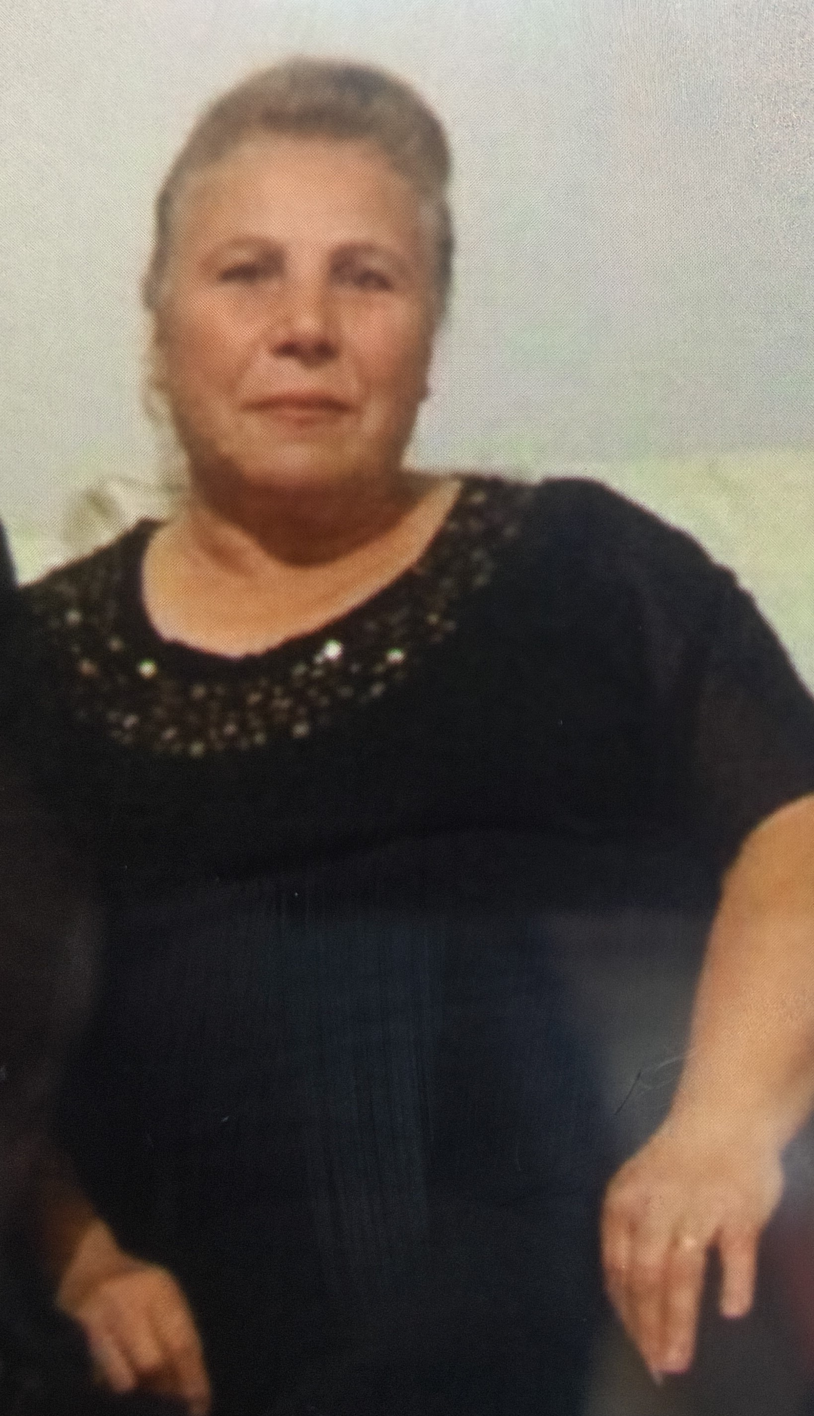 Eski damat kayınvalidesini öldürdü, ardından intihar etti - 4