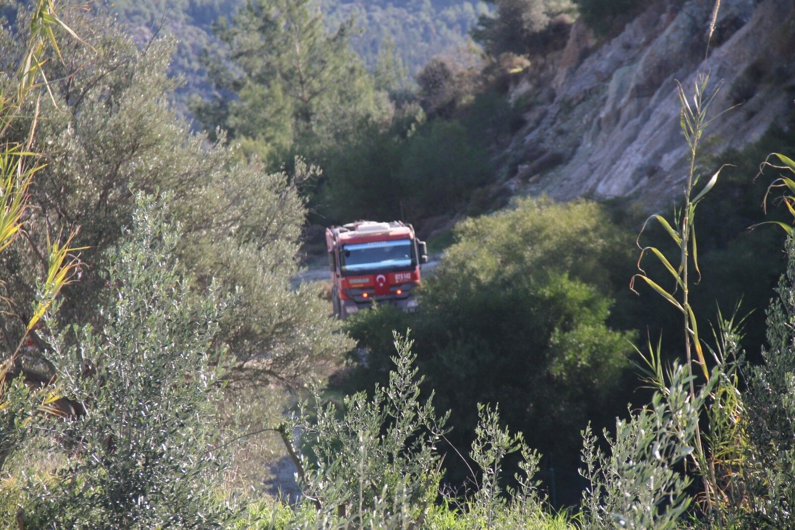 Antalya Serik'te orman yangını